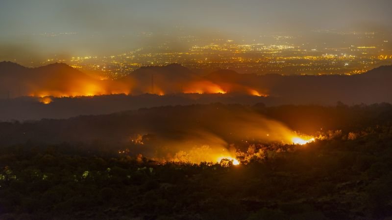 How the Mafia is weaponizing wildfires