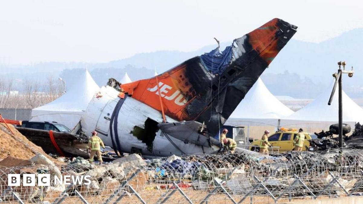 Jeju Air: Bird feathers found in engines of crashed South Korean jet