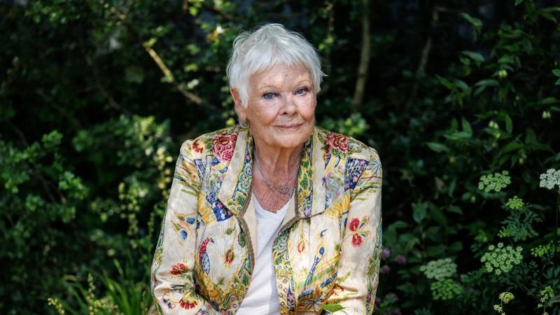 Judi Dench says her vision loss is so bad she can no longer go out alone