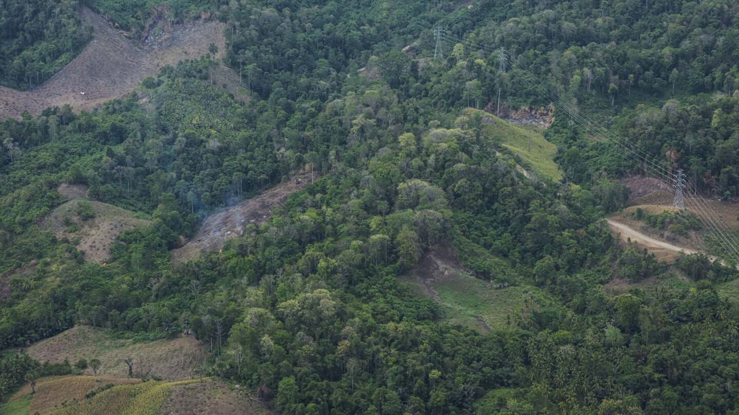 South Korea to shrink biomass energy subsidies after criticism over link to deforestation