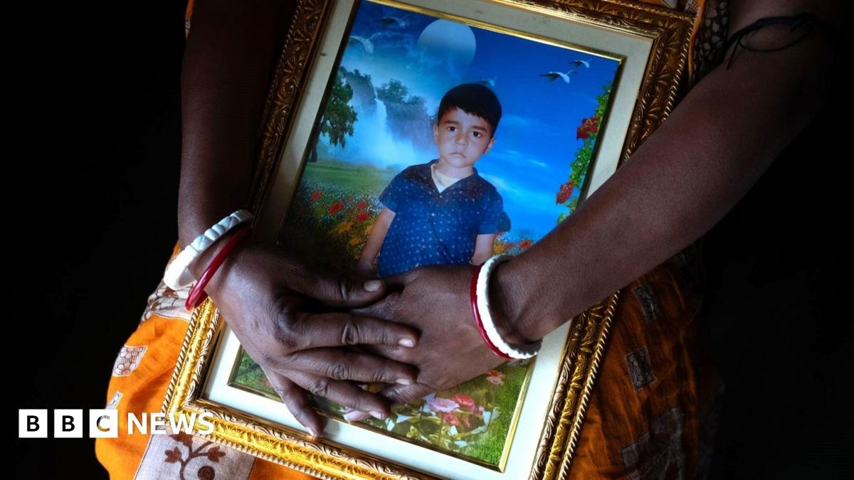 Sundarbans: How mothers are fighting to stop drowning deaths in Indian wetlands