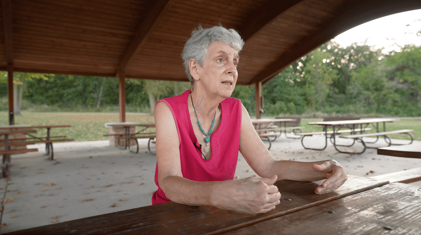 Diane Rosenberg, executive director of Jefferson County Farmers & Neighbors, at Lake Darling State Park speaking about factory farming in Iowa. The lake has long been polluted by livestock manure and other farm runoff.