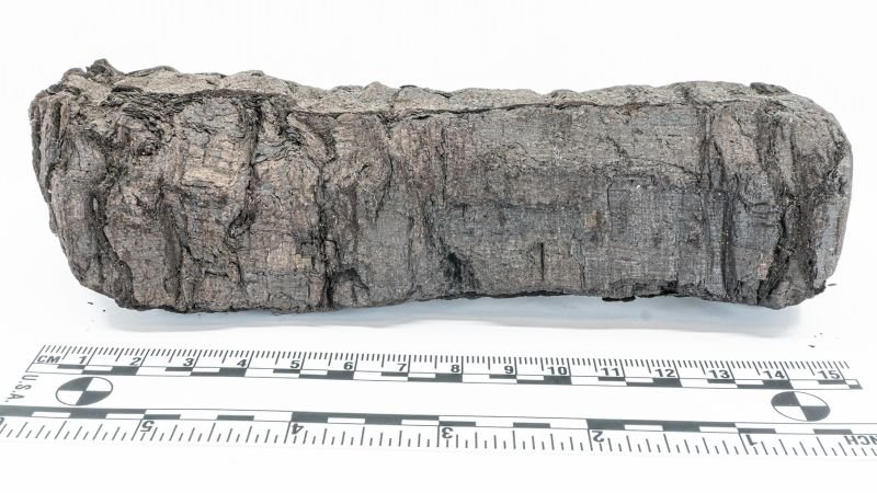 ‘Disgust’ among first words decoded in 2,000-year-old charred scroll