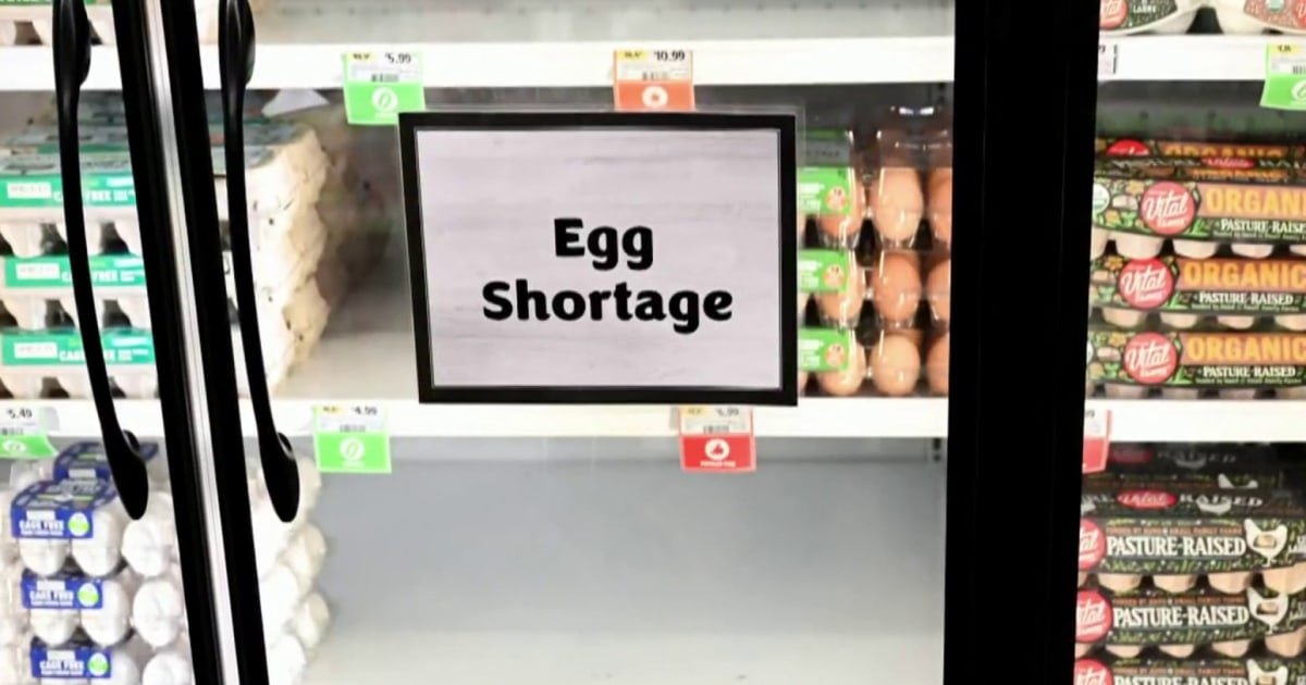 Egg robbery caught on camera