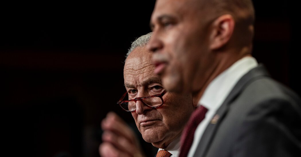 Opinion | Democrats Don’t Need a Perfect Message Against Trump, They Need to Show Some Fight