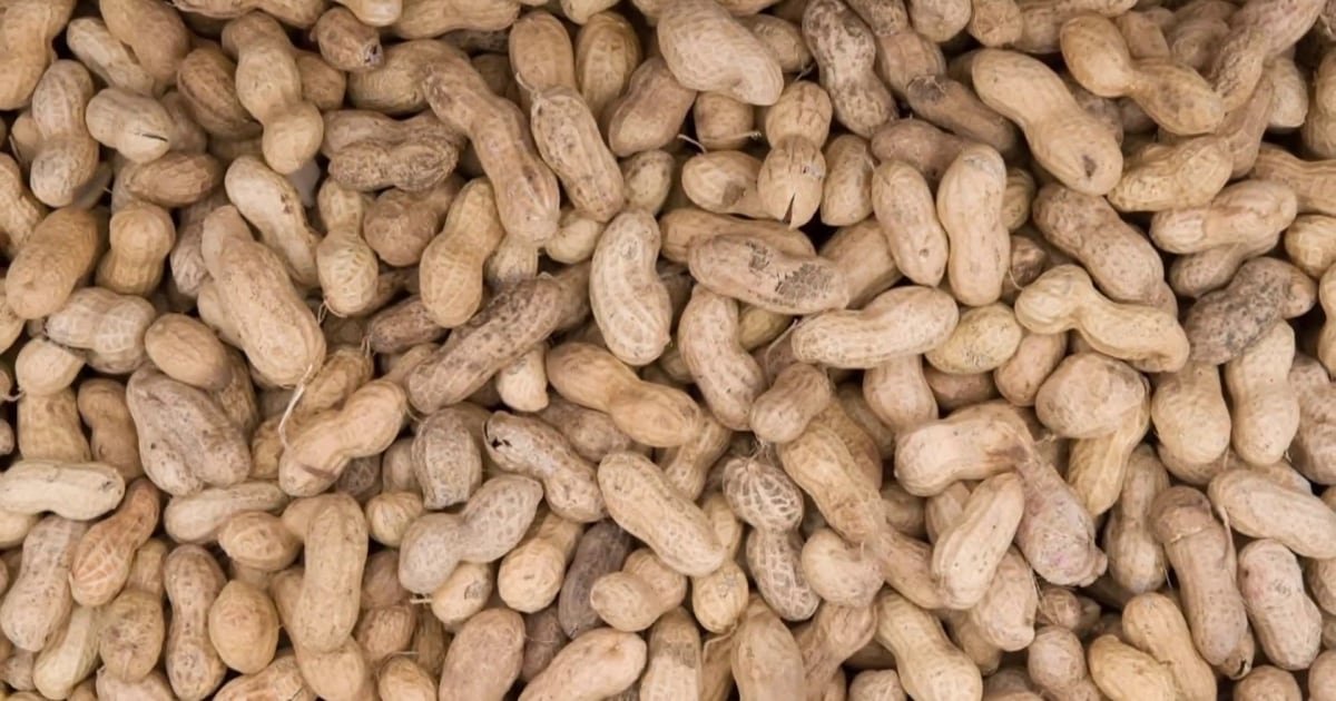 How children may be able to overcome mild peanut allergies