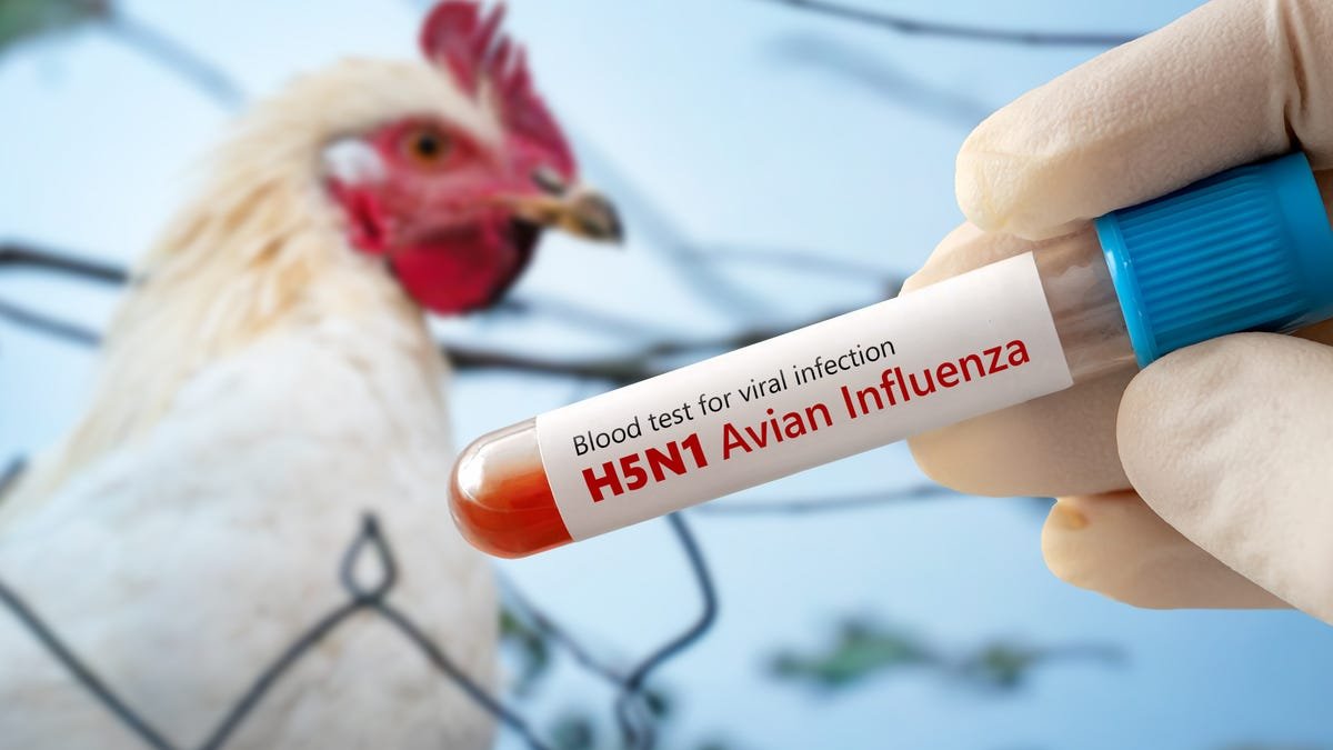 New bird flu strain infects Nevada worker; state's first human case