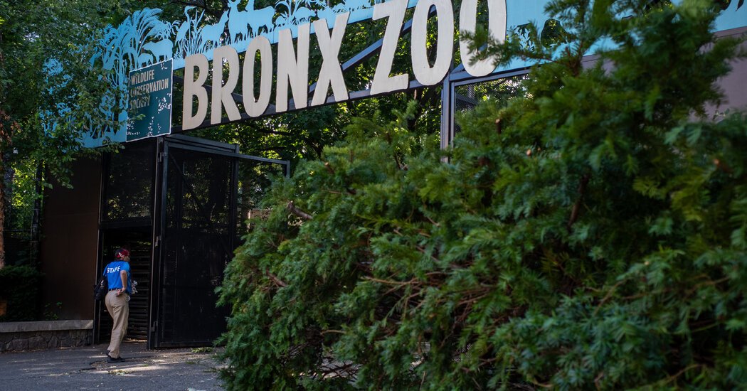 Bird Flu Suspected in Deaths of Ducks and Wild Birds at N.Y.C. Zoos