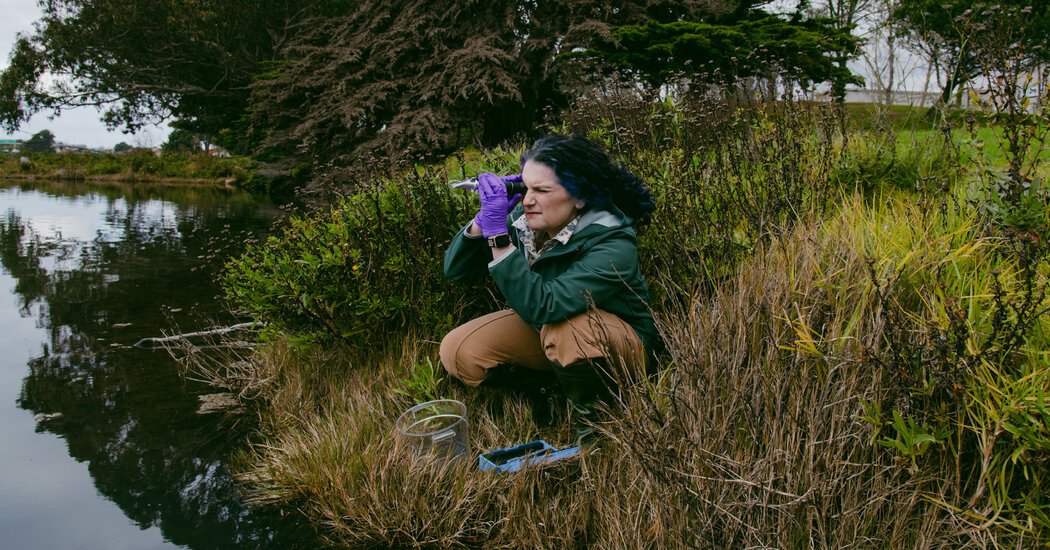 Her Discovery Wasn’t Alien Life, but Science Has Never Been the Same