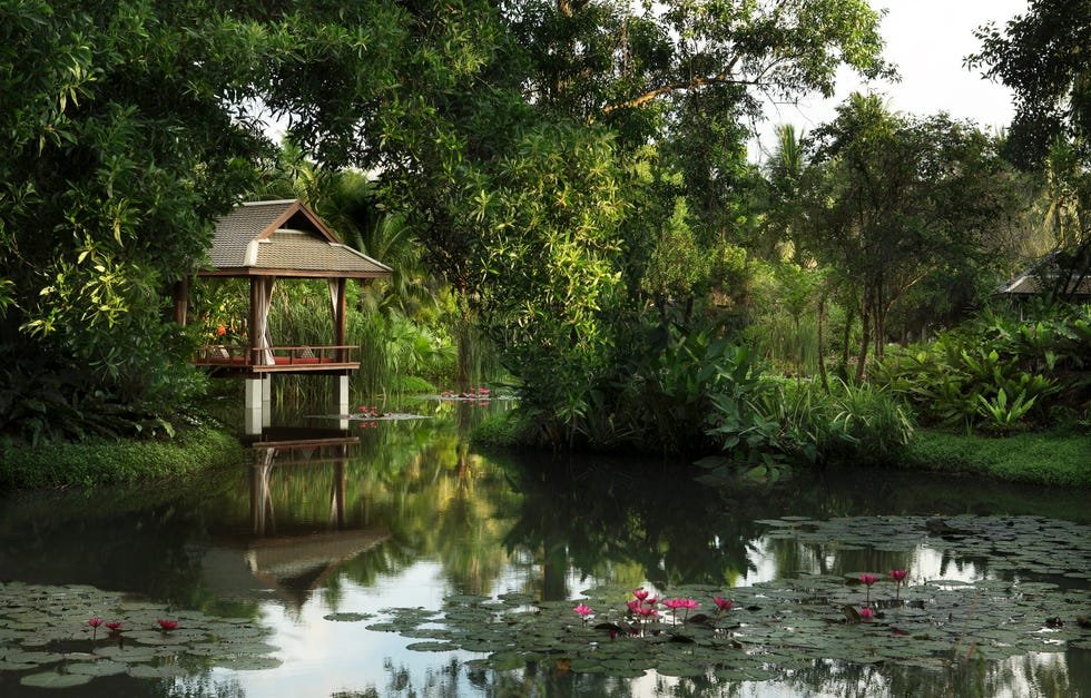 tranquil waterside gazebo surrounded by lush greenery