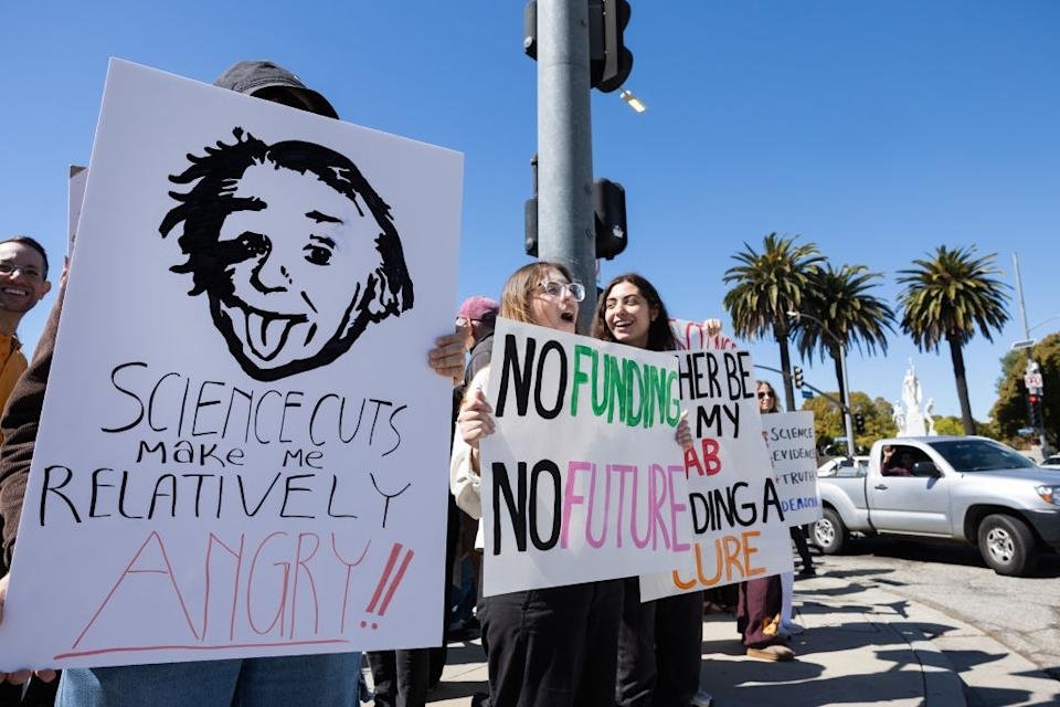 People organized signs of protests to reduce science financing in the streets. A symbol has presented the face of Albert Einstein in a hilarious manner