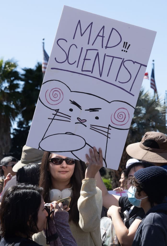 A person with a protest mark that texts the angry mouse & quot; Shifted with crazy scientist & quot. During a public rally