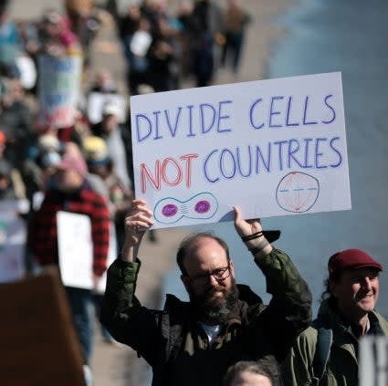 A huge group of protesters, symbols of symbols with some messages such as & quot; Divide the cells, not countries, & quot; Collect and march in a peaceful demonstration