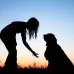 the silhouette of a woman crouching down to her dog with a sunset in the background