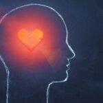 Better Cardiovascular Health May Stave Off Degenerative Brain Disease