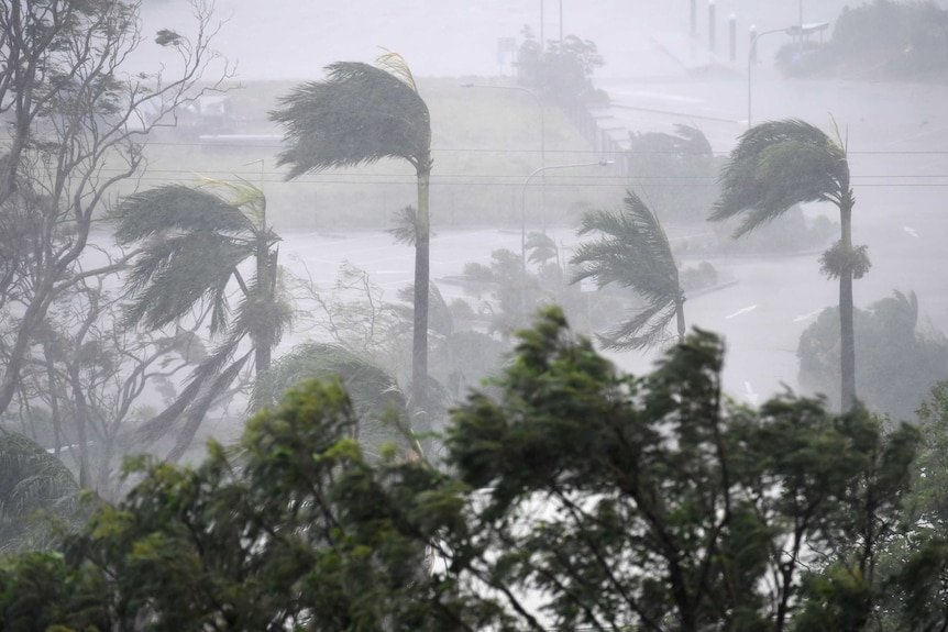 Heavy winds and rainfall at Lash Airley Beach, about 25 minutes away from the Prorspine.