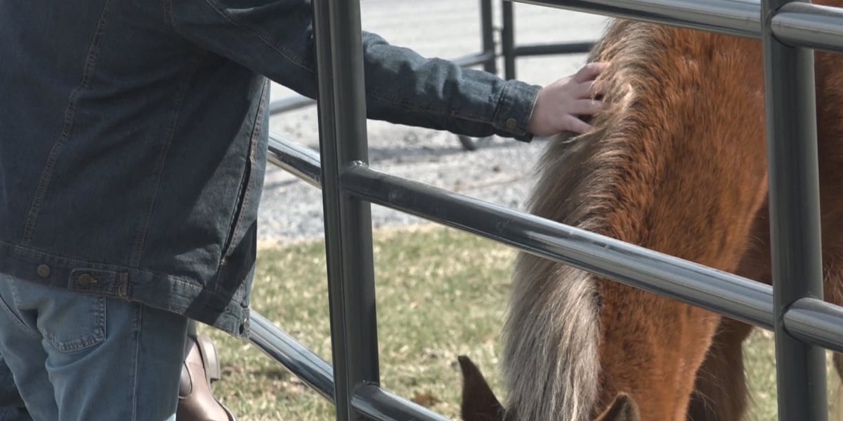 Equine Wellness Expo addresses vet shortage, horse health