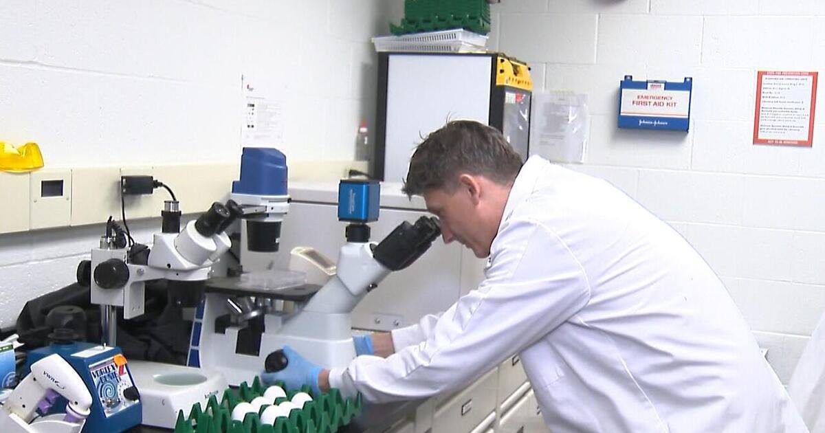 Maryland researchers study the science behind bird flu and how to stop outbreaks