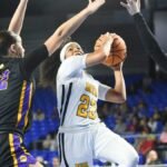 Memphis area high school winter sports Week 17 top performers