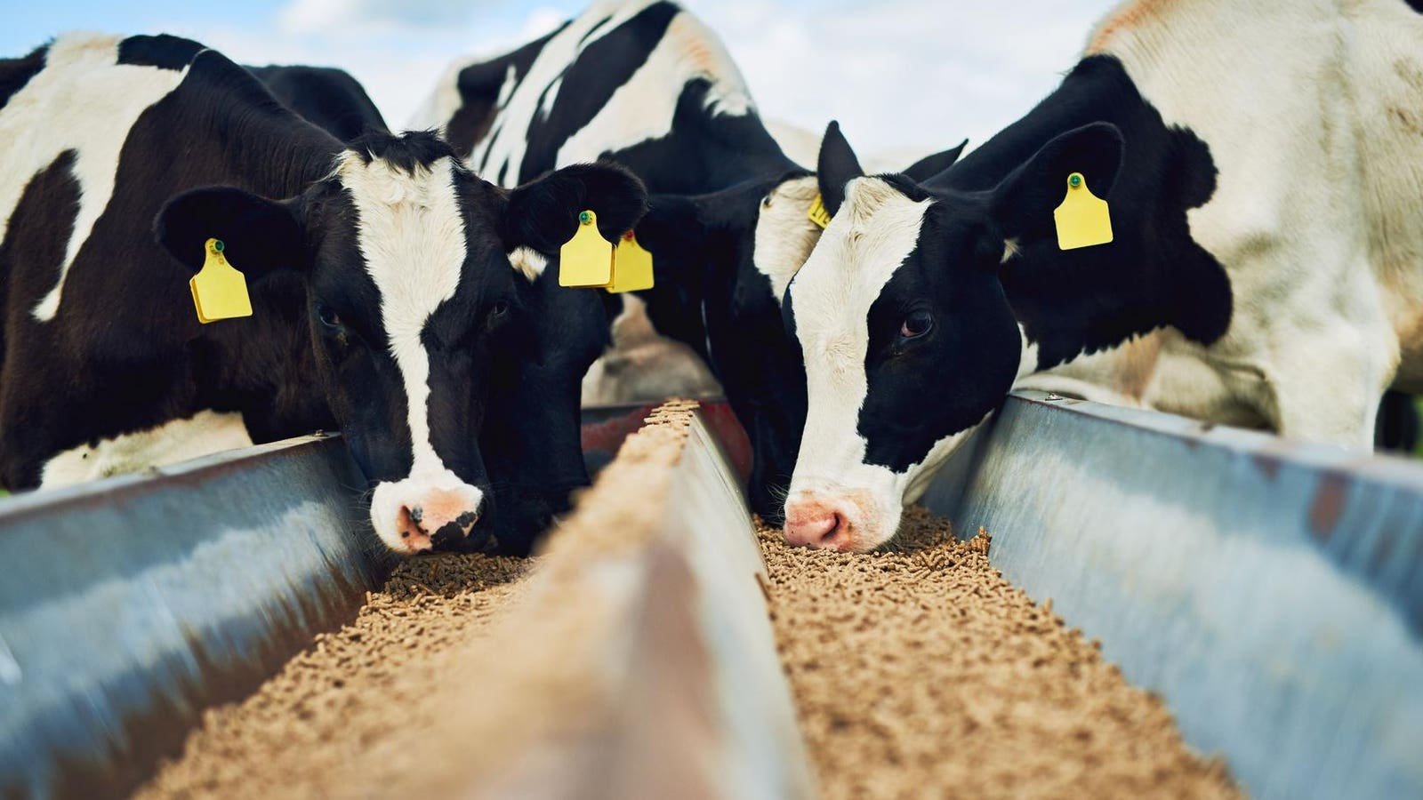 Methane Reduction Is a Business Win for Food Companies