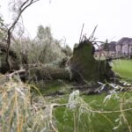 Tornadoes, Trump and standing up for science