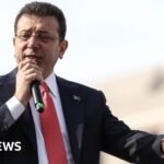 Who is Turkey's arrested opposition leader?